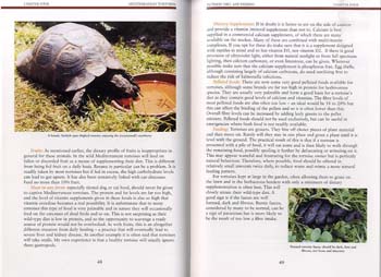 Mediterranean Tortoises (Hardback)