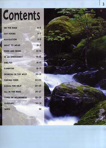 Inside Story: Survival Skills - Inside Story 3 (Paperback)