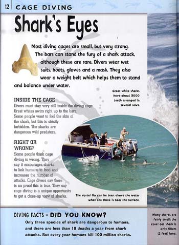 Inside Story: Diving - Inside Story 6 (Paperback)