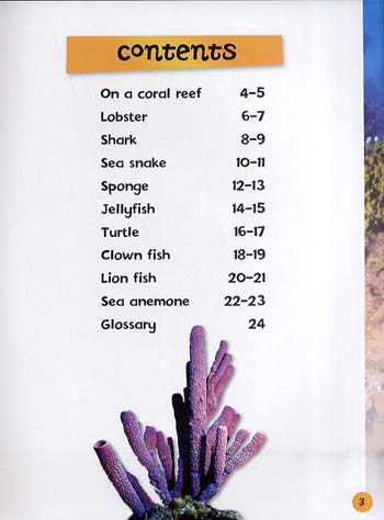 What Can I See on a Coral Reef (Paperback)
