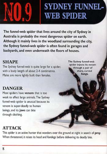 Top Tens: Deadly Creatures (Paperback)
