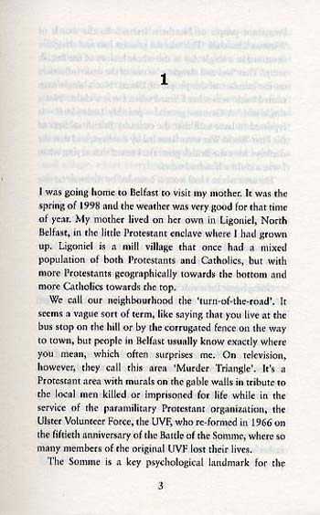 Protestant Boy (Paperback)
