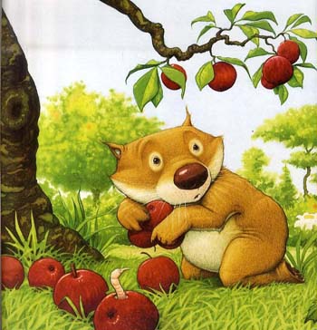 Swim, Little Wombat, Swim (Paperback)