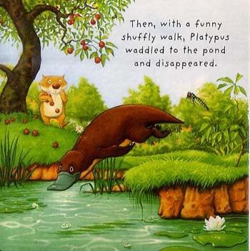 Swim, Little Wombat, Swim by Charles Fuge | Waterstones