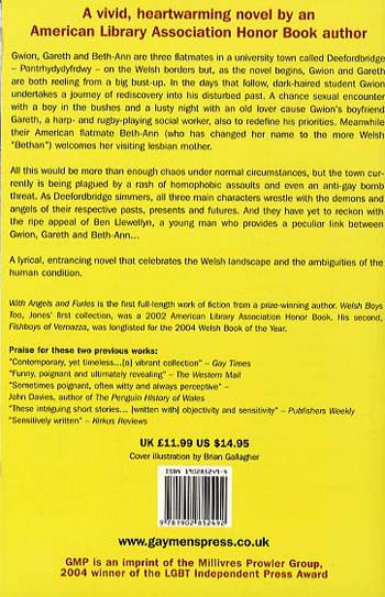 With Angels and Furies (Paperback)