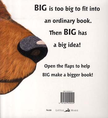 Big (Paperback)