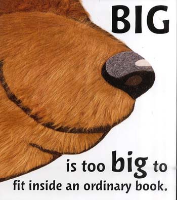 Big (Paperback)
