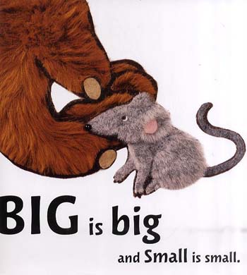 Big and Small (Paperback)