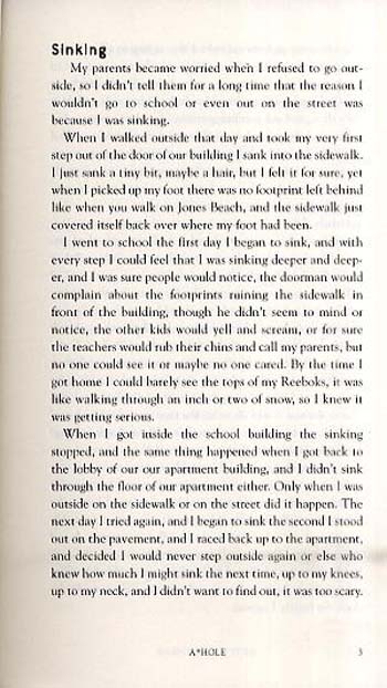 A*hole (Paperback)