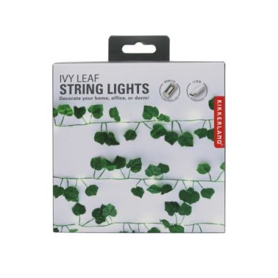 10 foot string deals lights