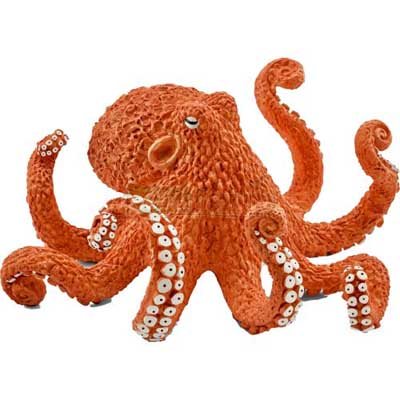 Octopus | Waterstones