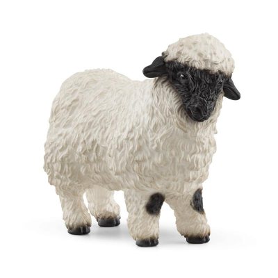 NOISEMAKER double color sheep CD サイン入り Blacknose Sheep | Waterstones