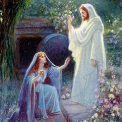 The Ressurection Easter Cards - Pack of 5