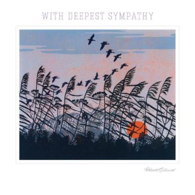 With Deepest Sympathy Aerial Manouvers Greeting Card-image