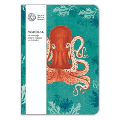 Octopus Notebook Octopus Deluxe Notebook | Waterstones