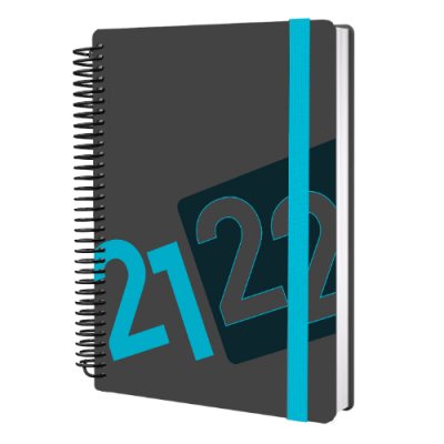 Delta A5 DTP Diary 2021-2022 (Diary)