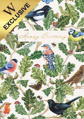 Happy Birthday Birds Greeting Card-image