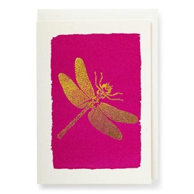 Archivist Dragonfly Note Cards
