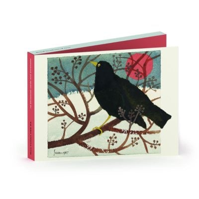 Blackbird Box X10 | Waterstones