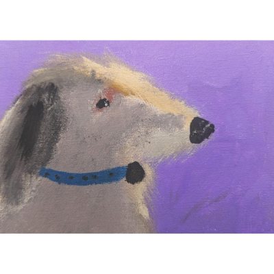 Where Have All The Squirrels Gone?