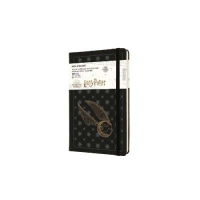 Harry Potter Large Weekly 18 Month Diary 2021-2022 (Diary)