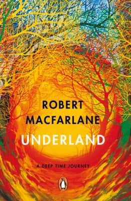 Book cover of Underland