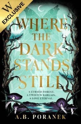 Where the Dark Stands Still: Exclusive Edition (Hardback)
