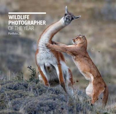 Wildlife Photographer of the Year: Portfolio 29 - Wildlife Photographer of the Year (Hardback)