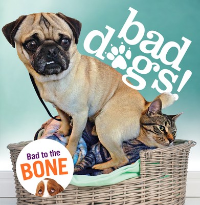 Bad Dogs (Hardback)