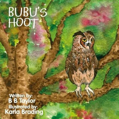 Bubu's Hoot (Paperback)