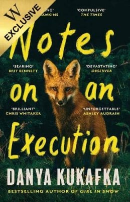 notes on an execution danya