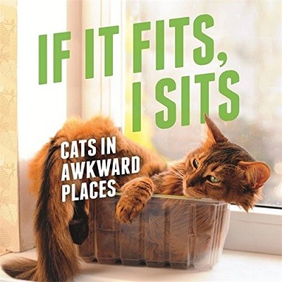 If It Fits, I Sits: Cats in Awkward Places (Hardback)