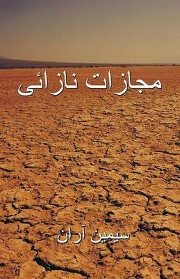 The Punishment of a Barren Woman: Simin Aran (Paperback)