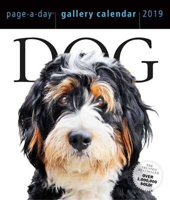2019 Dog Gallery Page-A-Day Gallery Calendar (Calendar)
