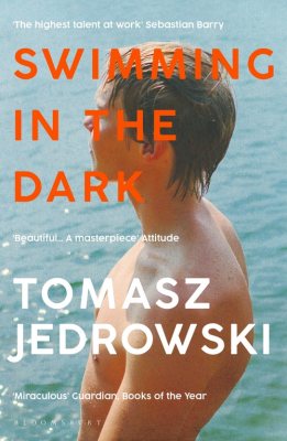 Swimming in the Dark (Paperback)
