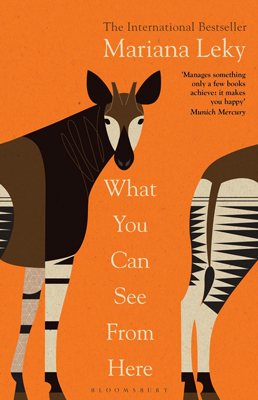 What You Can See From Here By Mariana Leky Waterstones