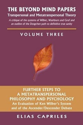 Beyond the Mind Papers: Volume Three: Further Steps to a Metatranspersonal Philosophy and Psychology
an Evaluation of Ken Wilber's System and of the Ascender/Descender Debate (Paperback)