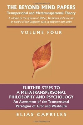 Beyond the Mind Papers: Volume Four: Further Steps to a Metatranspersonal Philosophy and Psychology
an Assessment of the Transpersonal Paradigms of Grof and Washburn (Paperback)
