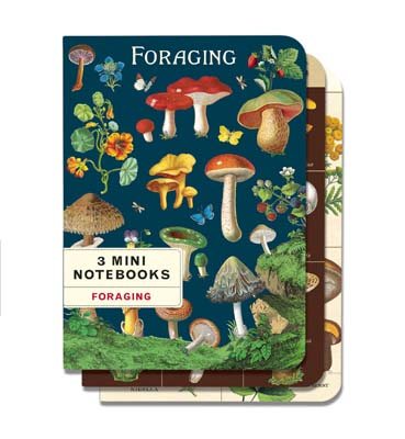 Forge Notebook 3 Mini Foraging Notebooks | Waterstones