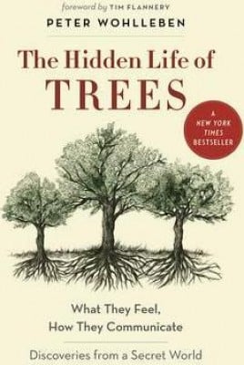 the hidden life of trees