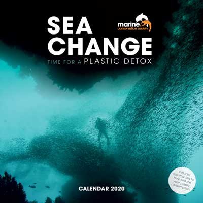 2020 Marine Conservation Society - Less Plastic Wall Calendar (Calendar)