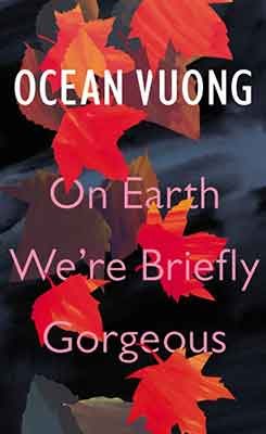 On Earth We're Briefly Gorgeous (Hardback)