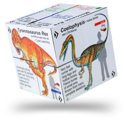 Dinosaurs Cube Book: From T-Rex & 'Ghosts' to 'Chops & Leaves'