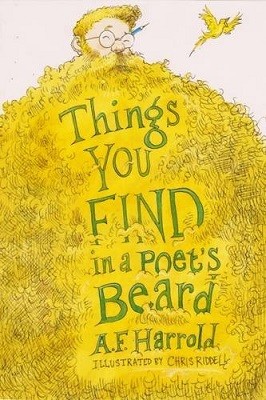 Things You Find in a Poet's Beard (Paperback)
