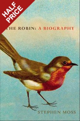 The Robin