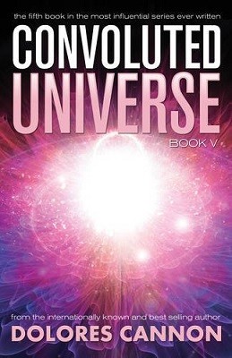 Convoluted Universe: Book Five (Paperback)