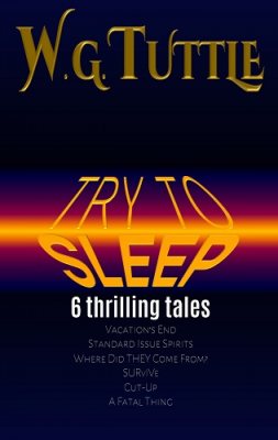Try To Sleep (Paperback)