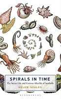 Spirals in Time: The Secret Life and Curious Afterlife of Seashells (Hardback)