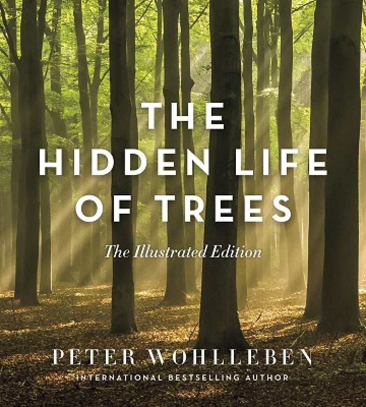 The Hidden Life of Trees: The Illustrated Edition (Hardback)
