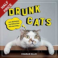 Drunk Cats
